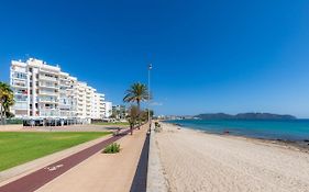 Apto Con Terraza 302